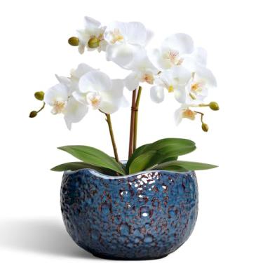 Imagem de Thirtypot Vaso de plantas de 15 cm - vasos de cerâmica para plantas com orifício de drenagem, vaso redondo de orquídea, vaso exclusivo para ambientes internos e externos, vasos de flores decorativos