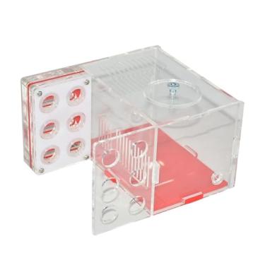 Imagem de Ｂｅｓｇａ Caixa de Exposição Transparente Nest Farm Brinquedos Educativos Gaiola Casa de Umidade Caixa de para Sala de Estar Casa de Dia Crianças, 1.5cm