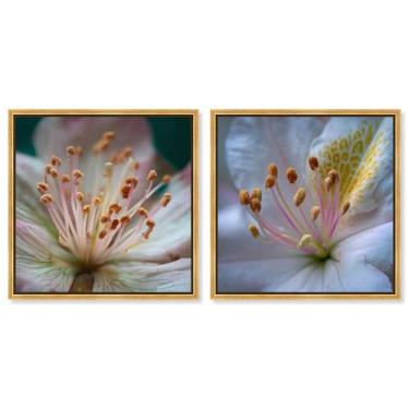 Imagem de Conjunto de 2 decoração de parede de casa de fazenda com impressão em tela botânica de tranquilidade neutra da Art Remedy, moldura dourada, 40,6 x 40,6 cm