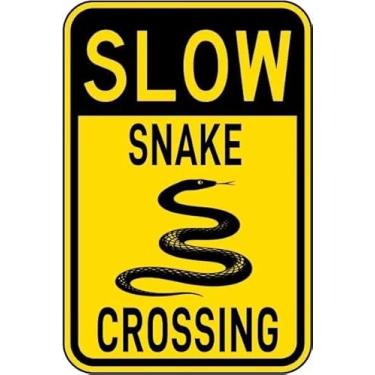 Imagem de Placa de metal vintage de estanho com cruz de serpente engraçada arte de parede para casa, escritório e sala de aula, pôster 20 x 30 cm