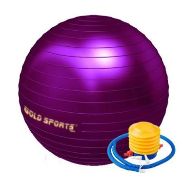 Imagem de Bola De Ginástica  Gold Sports 65Cm Anti-Explosão-Unissex