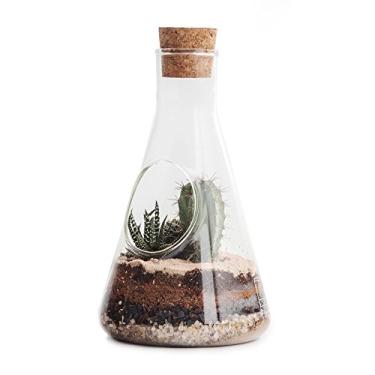 Imagem de SUCK UK Chemistry Terrarium Kit