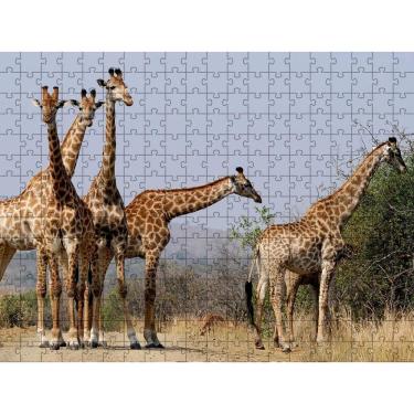 Imagem de Quebra-Cabeça Inclusivo 300 Peças Em Mdf Girafas Graciosas