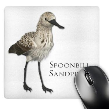 Imagem de 3dRose Spoonbill Sandpiper Shorebird - Mouse pad, 20 x 20 cm (mp_51598_1)