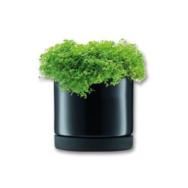 Imagem de BODUM Vaso de flores pequeno, formato cilíndrico, diâmetro 4,1 x 9,6 cm, grés preto