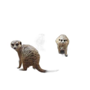 Imagem de Quebra-Cabeças Cognitivo Educativo Primatas Lêmures 60 Peças - Coleção