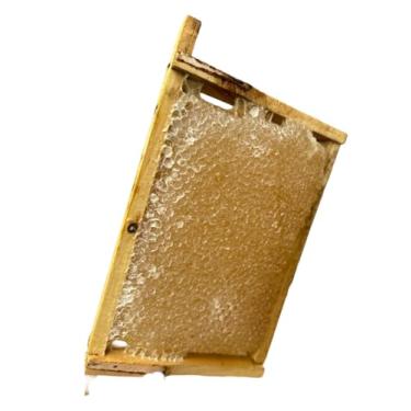 Imagem de Favo de Mel Artesanal Puro Natural Direto da Colmeia 500g