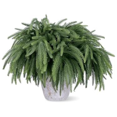 Imagem de PABREY 16 ramos de pinheiro norfolk de toque real, ramos de pinheiro artificial de 45,7 cm, vegetação sintética de Natal, palitos de hastes de pinheiro norfolk perenes para vaso faça você mesmo