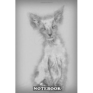 Imagem de Notebook: Kitten Lykoi Cat 7 Weeks Old Also Called The Werewolf C , Journal for Writing, College Ruled Size 6" x 9", 110 Pages