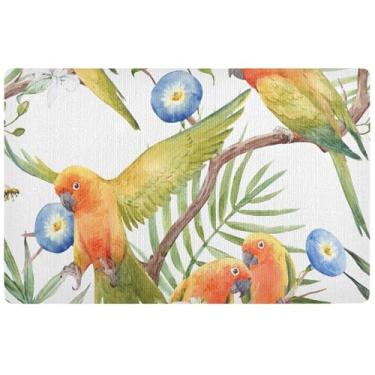 Imagem de TSENQUE Tapete de porta com estampa floral de papagaio personalizado para entrada externa à prova d'água grande tapete de boas-vindas divertido tapete de banho absorvente de água antiderrapante 81 x
