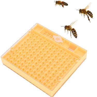 Imagem de Caixa de criação Queen Incubadora de abelha Ferramenta de Apicultura Incubadora de Plástico Bee King Incubadora Caixa de reprodução inofensiva