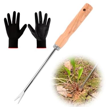 Imagem de Ferramenta de remoção de dente de leão com cabo de madeira - Aço inoxidável polido duplo - Ferramenta extrator de dente de leão com cabeça bifurcada para plantar, capinar, cuidar de flores e vegetais