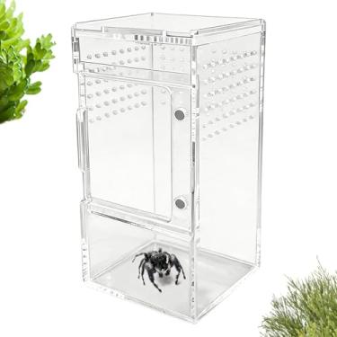 Imagem de Terrário para Aranhas Saltadoras - Gaiola De Acrílico Com Ventilação Transparente - Com Tampa Deslizante E Recinto De Acrílico Para Aranhas - Para Tartarugas, Plantas, Geckos E Caranguejos