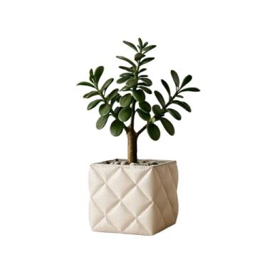 Imagem de Vaso de Planta Decorativo Família Sala Cachepot Cactos ou Suculentas Vasos Bronze Artificiais ou Naturais Texturizado(8cm,Branco)