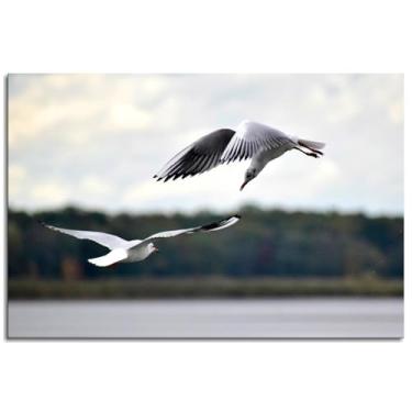 Imagem de Pôster Seagull Flying Bird Impressão em tela Waterside Wall Art For Home 1 painéis Decorações Noframed 30.5 cmx20.3 cm
