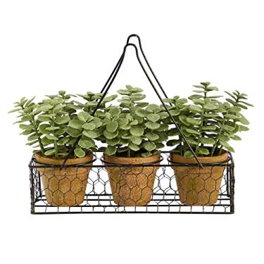 Imagem de Mini planta artificial de jade de 17,78 cm (7") em vaso suspenso