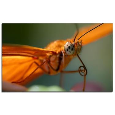 Imagem de 093 Butterfly Wall Art Insect Canvas Prints Orange Heliconia Poster For Home Conjunto de 1 Decorações Noframed 33.0 cmx20.3 cm