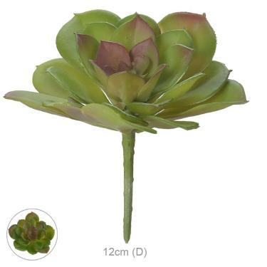 Imagem de Suculenta Echeveria Verde C/vermelho 10cm
