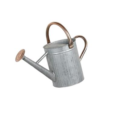 Imagem de Gralara Regador de metal para plantas internas e externas, grande abertura de enchimento, grande capacidade, construção robusta, pulverizador fino, 4l