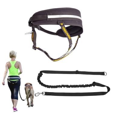 Imagem de Dingo Coleira de mãos livres e cinto para caminhar e correr com cães, coleira de treinamento elástica, O-Ring Z30004