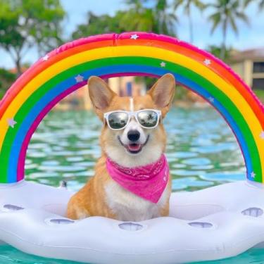 Imagem de Vickea Suporte inflável para bebidas com nuvem de arco-íris, acessórios de festa de boia na piscina para diversão na água