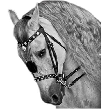 Rédea Cabeçada E Peiteira Traia De Frente Cavalo Crioulo