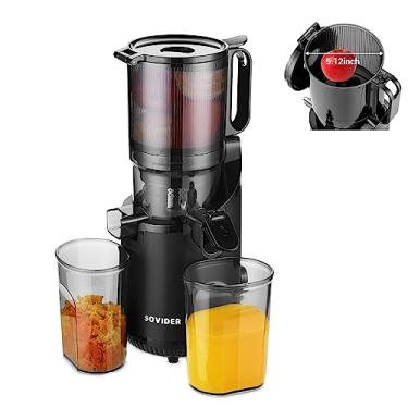 Imagem de REPALY Espremedor Compacto De Mastigação Lenta - Máquinas De Espremedor Com Rendimento De Suco De Até 92%, Calha Larga De 3,1" Para Frutas E Vegetais Ricos Em Nutrientes, Espremedor De Prensagem A F