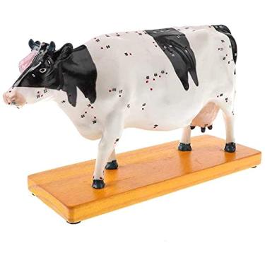 Imagem de HYUIO Modelo de anatomia, modelo ional gado acupuntura modelo de acupuntura animal modelo anatômico modelo gado dissecção animal gado vaca anatomia anatômica, modelos para demonstração
