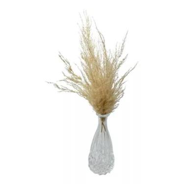 Imagem de Vaso De Vidro Com Pampas Decorativos 7x14 - FLORA FULL