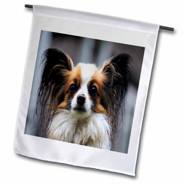 Imagem de 3dRose Impressão de pintura retrato Papillon - Bandeira de jardim, 30,48 x 45,72 cm