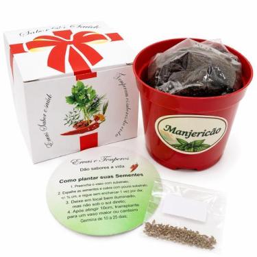 Imagem de kit plantio Manjericão sabor e saúde - Horta e Jardim