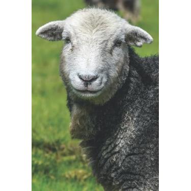 Imagem de HERDWICK SHEEP IN RURAL KINTYRE: 6 x 9 Inch Blank Lined Journal For Sheep Breeders, Farmers and Nature Lovers