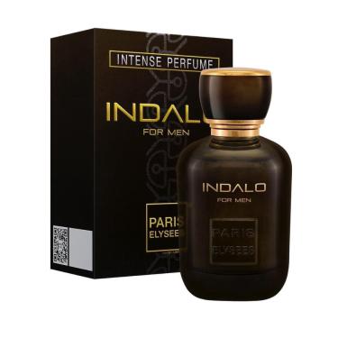 Imagem de Indalo Paris Elysees Perfume Masculino edt 100 ml