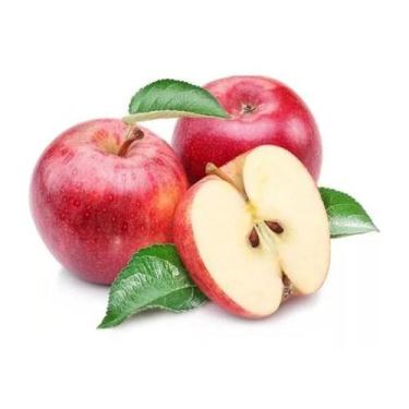 Imagem de Muda de Maçã Princesa Enxertada Rápida Produção Produz em Vasos - Agro