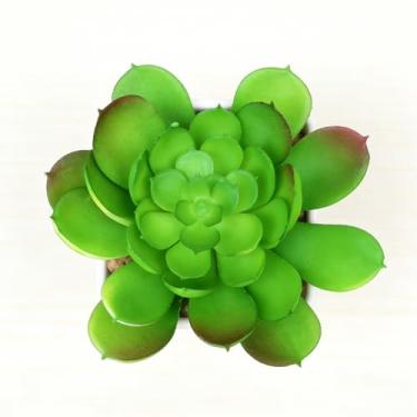 Imagem de Plantas suculentas artificiais em vaso - 1 peça de suculentas falsas realistas de pistache para decoração de casa, mesa, escritório, banheiro, peitoril da janela - planta de casa interna para quarto