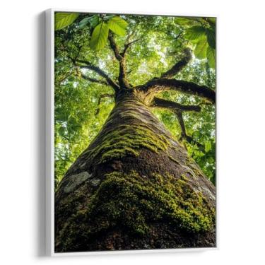 Imagem de Quadro Árvore Ancestral da Força e Sabedoria Viva - Mioquadros, 60x40 