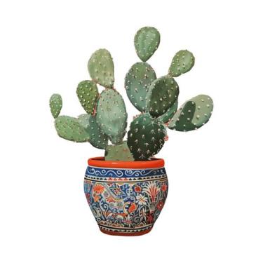 Imagem de Pôster De Arte Em Tela Minimalista Boho Com Cactos Do Deserto Para Dec