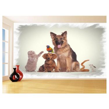 Imagem de Papel De Parede 3D Animais Cão Gato Petshop 3,5M Anm414
