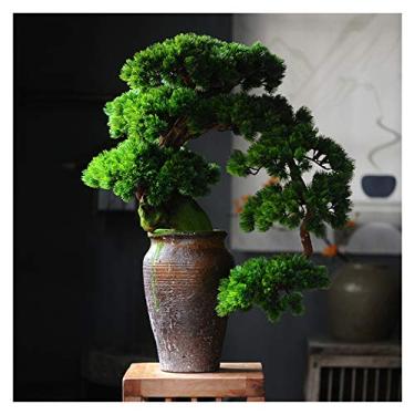 Imagem de Mobiliário doméstico simulação de pinho acolhedor bonsai hotel corredor plantas verdes varanda sala de estar estudo decoração ornamentos artesanato presentes planta casa (G)