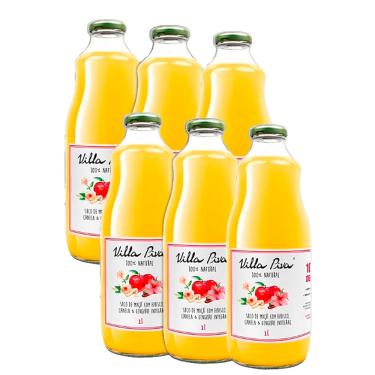Imagem de Kit 6X: Suco de Maçã com Hibisco, Canela e Gengibre Sem Açúcar Villa Piva 1L