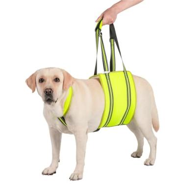 Imagem de HGTRH Arnês de suporte para cães, arnês de elevação com malha respirável ajustável para animais de estimação com dificuldade para caminhar, alívio da dor articular nas pernas traseiras/dianteiras B XL