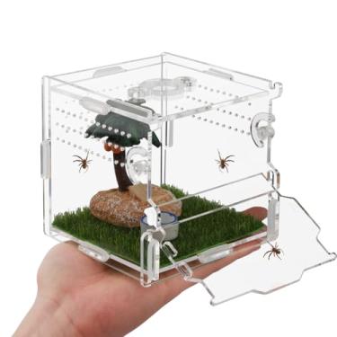Imagem de Terrário de réptil, caixa de tarântula, gabinete de aranha saltadora para tarântula escorpião estilingue isópodes caracol réptil invertebrados acessórios (10 cm x 4 x 4)