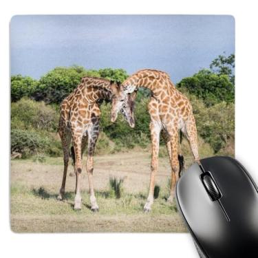 Imagem de 3drose Maasai Giraffe, Two Bulls Necking, Maasai Mara Game Reserve, Kenya - Mouse Pad