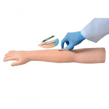 Imagem de Braço Avançado Suturas Cirúrgicas Simulador Médico Sdorf