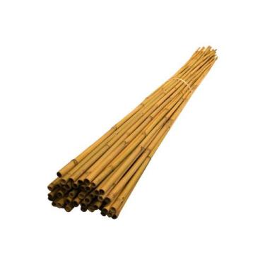 Imagem de Bambu Cavo Tratado Para Artesanato: 50cm x 2.5cm - 12un - NC Caieiras