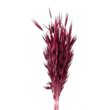 Imagem de Capim Trigão Pink Desidratado - Tem Flores