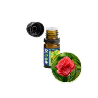 Imagem de Óleo essencial carnation Absolute (Dianthus Caryophyllus) – Aroma verde fresco, para aromaterapia, perfume, incenso, meditação espiritual, cosméticos – puro, natural, não diluído, sem cortes – 5 ml