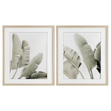 Imagem de Stupell Industries Conjunto de 2 peças com estampa emoldurada de bétula de folhas de bananeira verde silenciada, design por Sisi e Seb, 40,6 x 33,5 cm