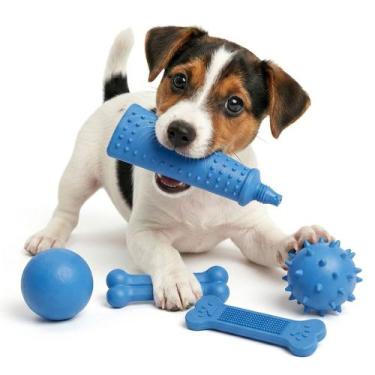 Imagem de Brinquedo Para Cachorro 5 Peças Bolas Ossos E Pet Past De Mastigar Par