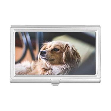 Imagem de Porta-cartões de visita com foto de animal pequeno solitário para cachorro